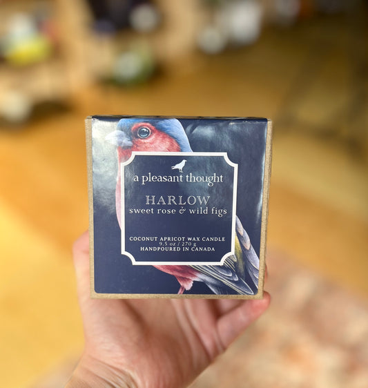 Harlow