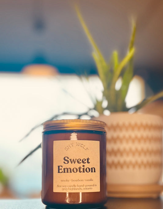 Sweet Emotion