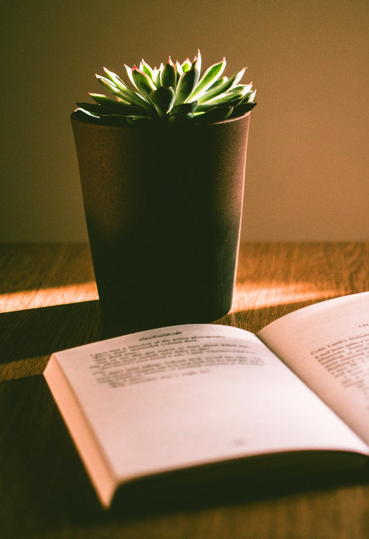 Educational & Erotic novels